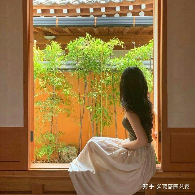 为什么劝你一定要有个小院子?这是我听过最好的答案 - 知乎
