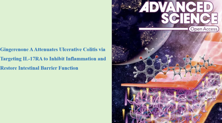 Adv Sci（IF 15.1）| 姜烯酮A靶向IL-17RA减轻溃疡性结肠炎 - 知乎