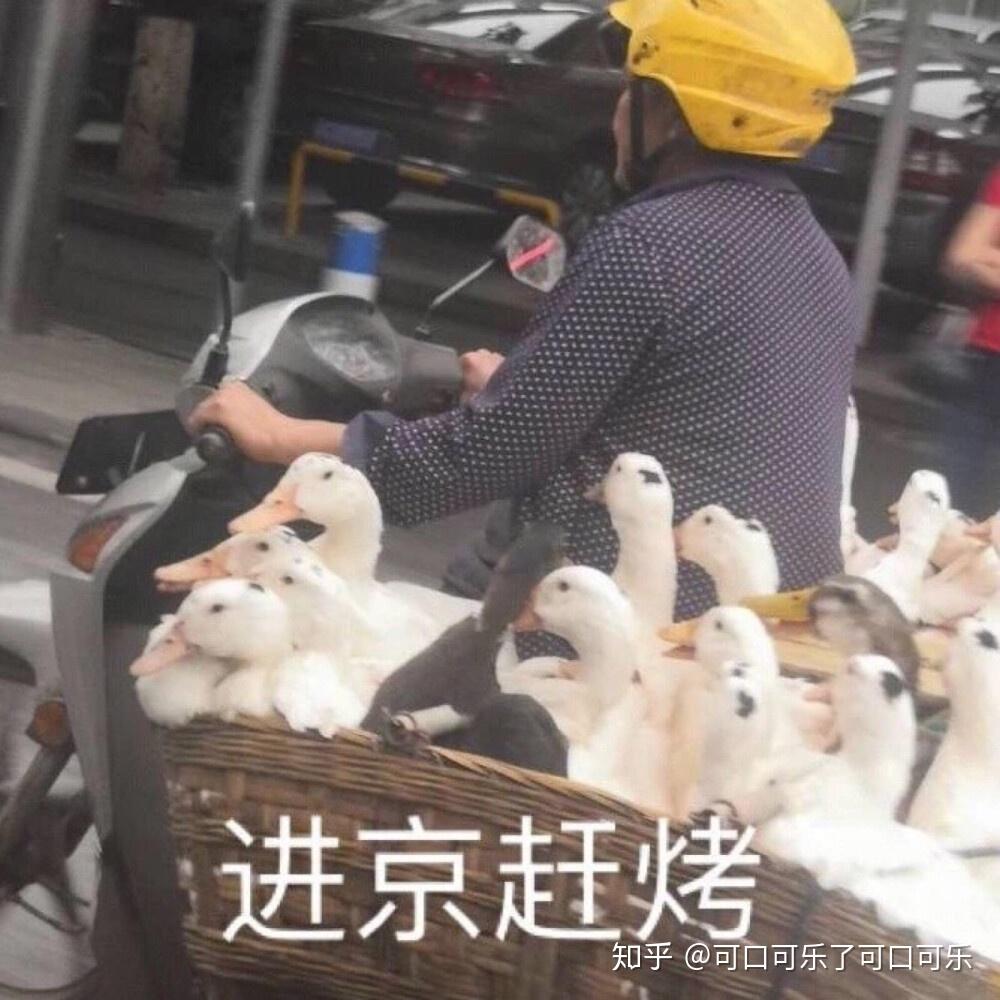 ECO120宏经3.0|货币乘数The Money Multiplier - 知乎