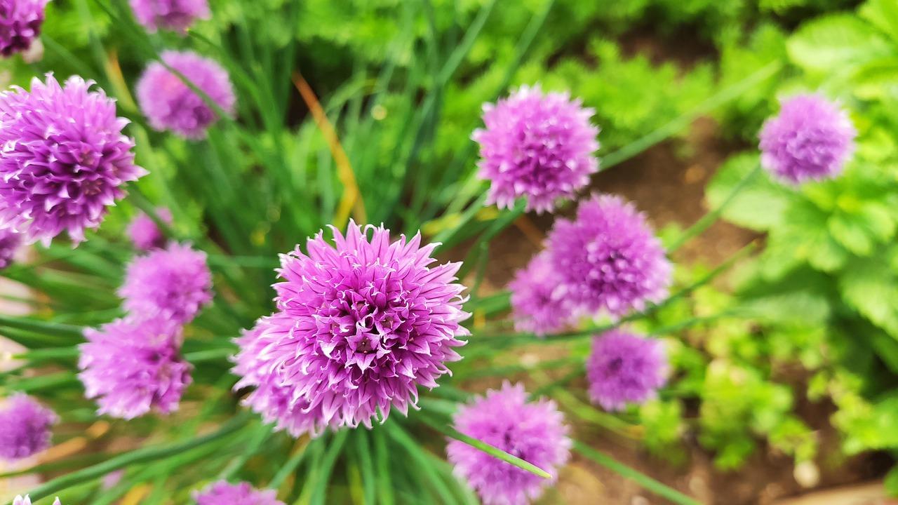 3. 光照条件改善