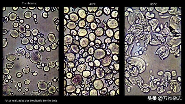 发生老化——淀粉分子开始重新排列成紧密的晶体结构,同时失去水分