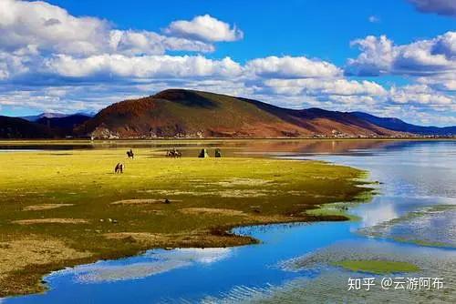 雲南旅遊必去的景點_感受雲南的美 - 知乎