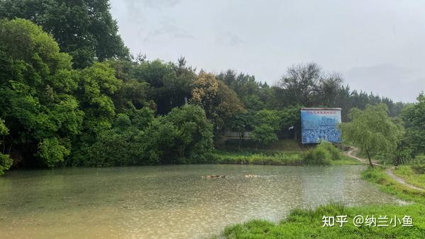 探秘盗墓笔记百度云