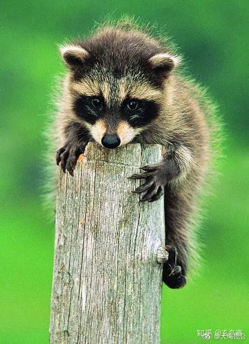 山海经东山经东次首经之山脉破解版图文版二