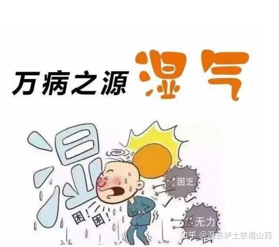 明明喝了祛湿汤