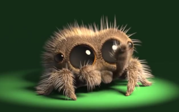 微博b站上都有这个叫卢卡斯的动画片  主角就是这个小跳蛛  特别可爱