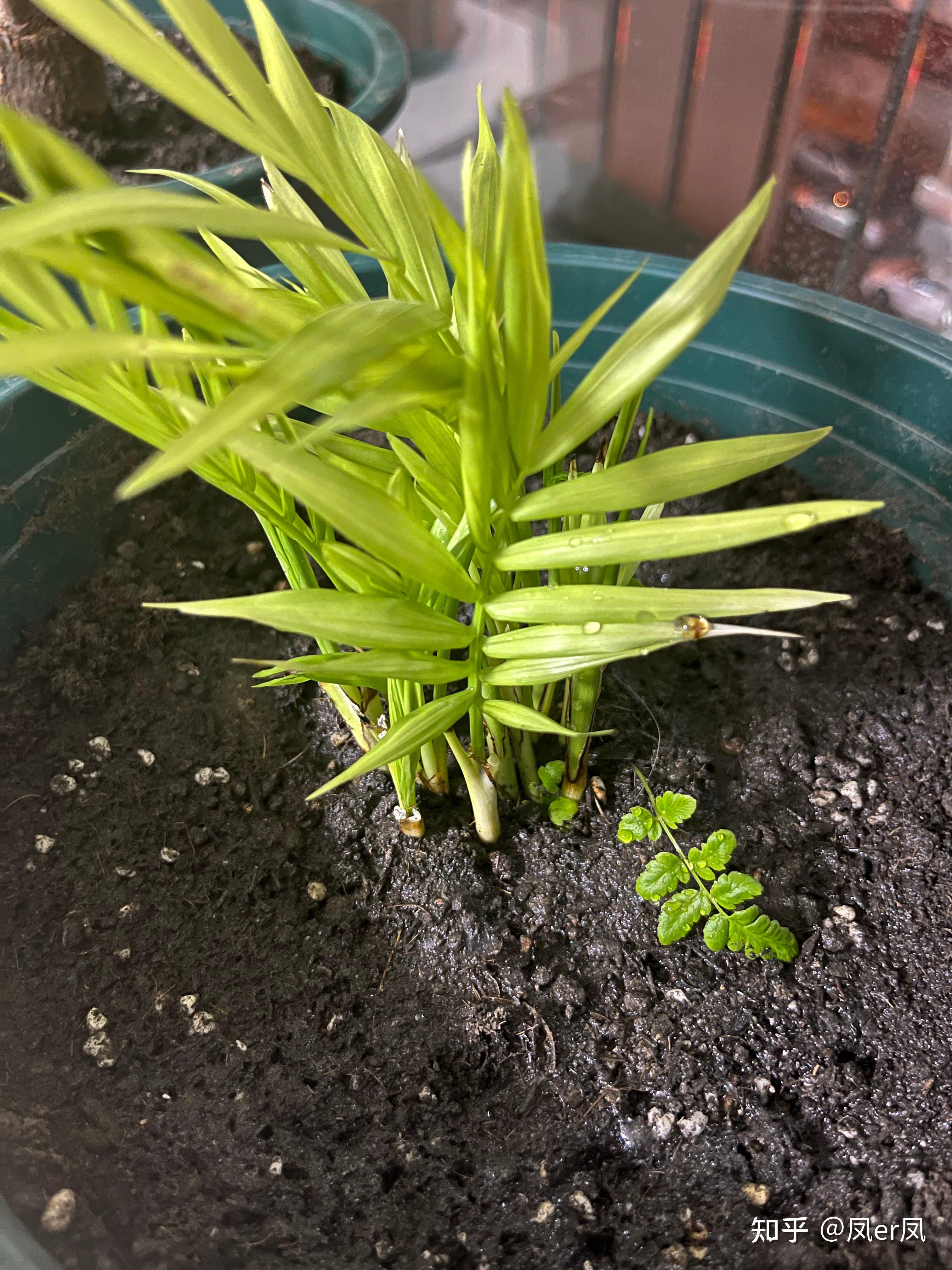 男朋友比我大4岁他很着急结婚我不知道我们能不能