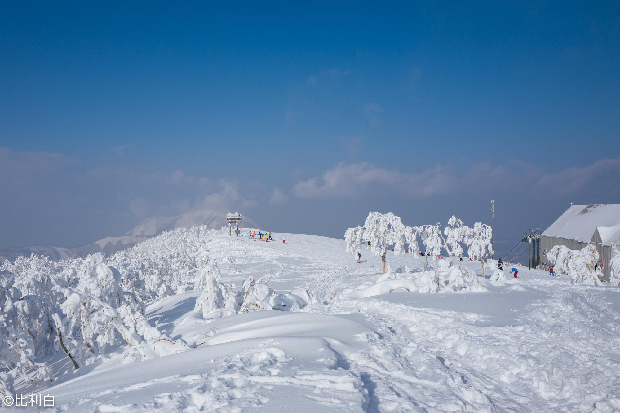 北海道的雪|摄影|风光|米果MiG - 原创作品 - 站酷 (ZCOOL)