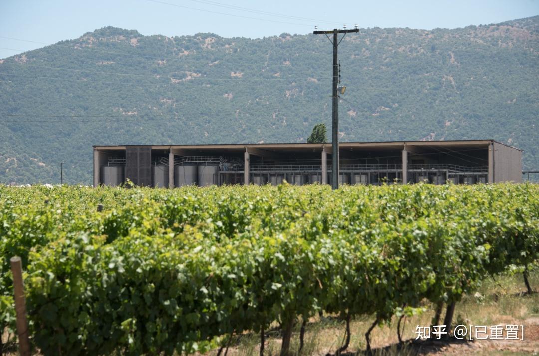 winesofchile明星阵容亮相winetoasia2021呈现智利魅力