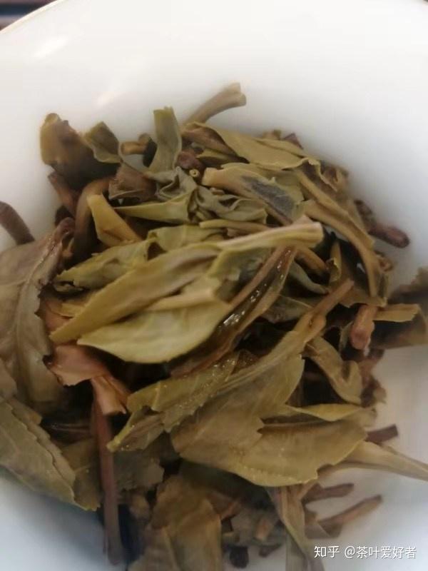 普洱茶評審茶葉的葉底藏著什麼秘密