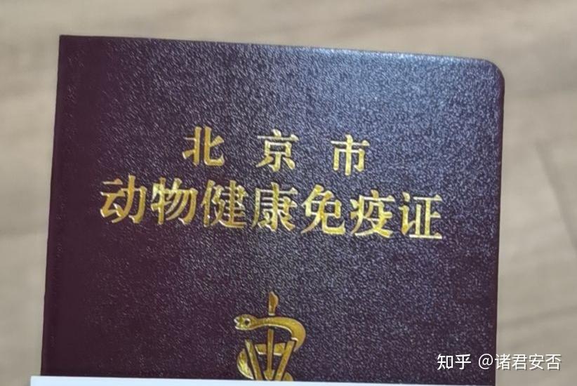 如何火车托运宠物猫