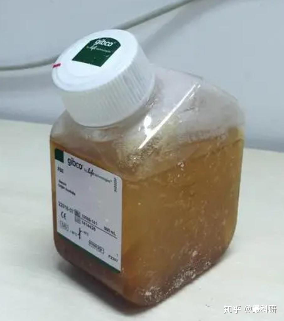 胎牛血清解冻后为何出现絮状沉淀?如何有效避免?