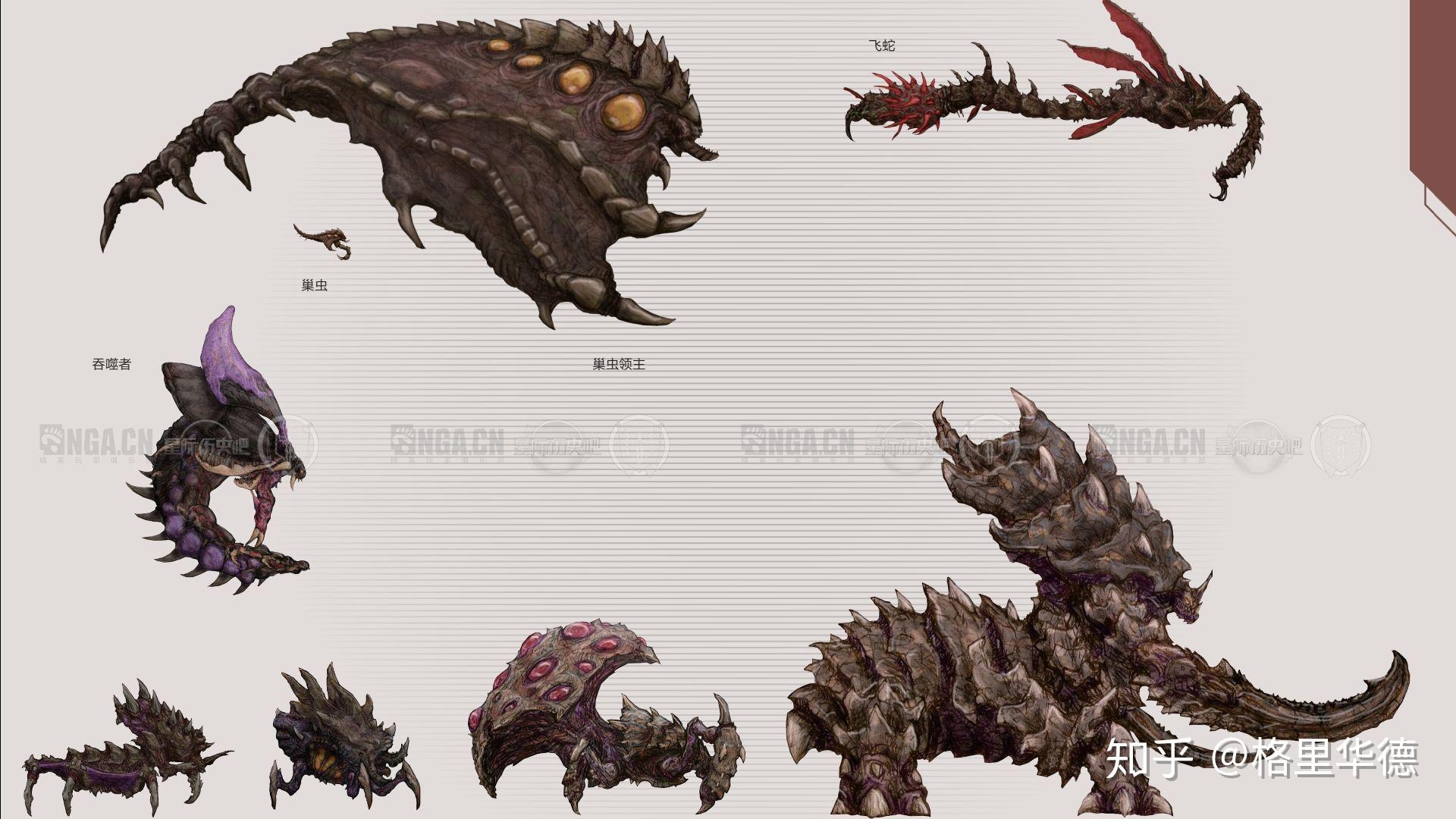 星际争霸中虫族各空中单位都有多大