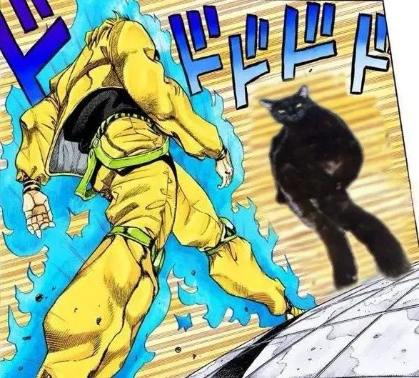 剽悍猫当你家小可爱突然变身肌肉猛男