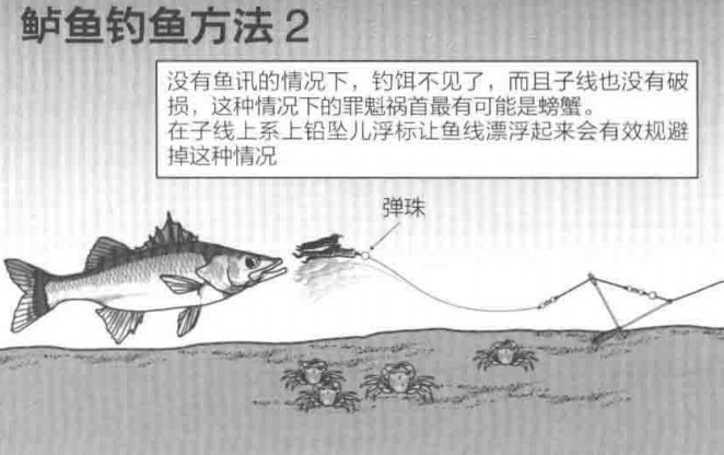 海钓鲈鱼学习日本静止海鲈钓法【 日本专业海钓入门投钓书籍 】