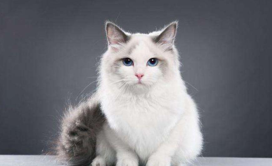 唶焳丕側珰 r