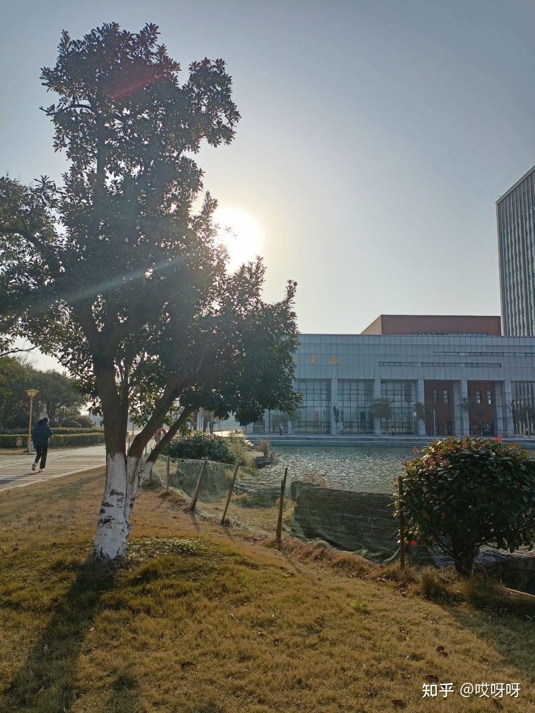 宁波财经学院的校园环境如何? 
