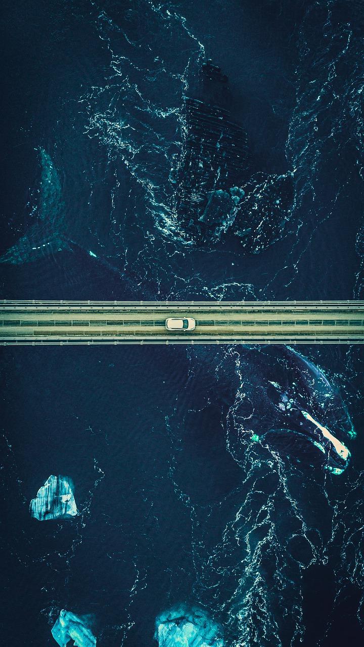 学区房价格区间