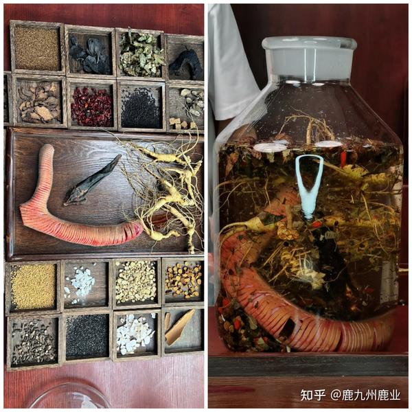 鲜鹿茸怎么泡酒？鹿茸泡酒配方大全 - 知乎