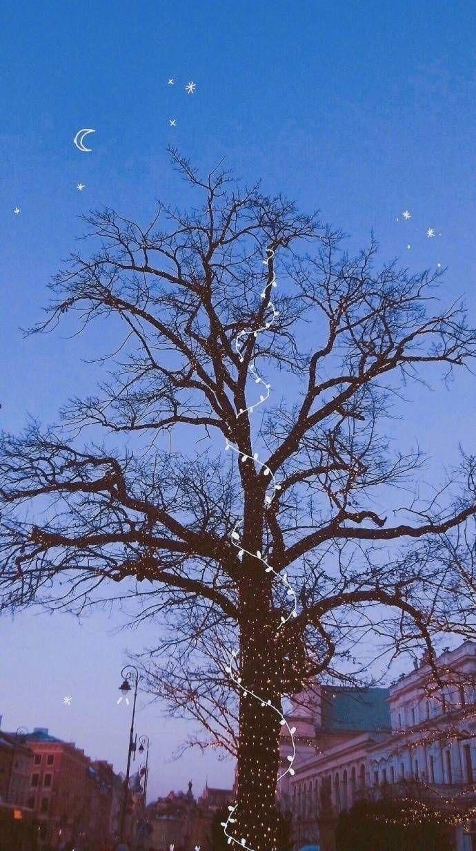 有什么壁纸适合作为微信运动的背景图