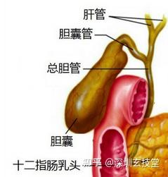 v2-aa1f8971c33062410026166388cdc9bc_b.jpg