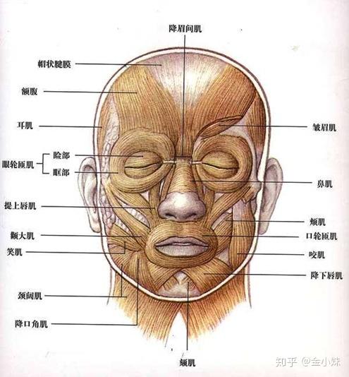 v2-aa22d221a4f8988ccac7f225ebecbf1d_r.jpg