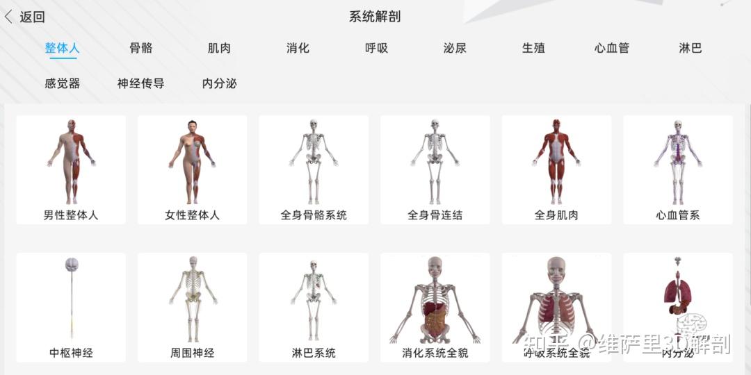 国内最好的解剖软件是3Dbody吗？ - 知乎