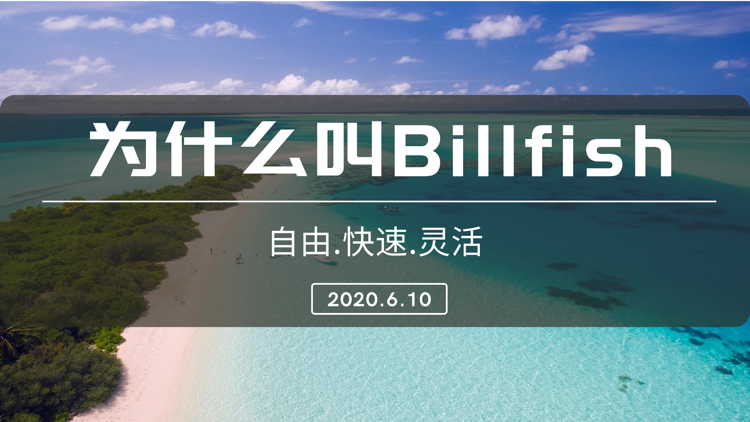 开始认识billfish