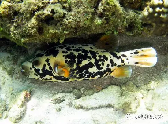 史上最好的沙巴小众旅行攻略，没有之一。