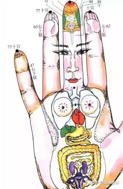 史上最全中医基础知识(内附图文、表格),太好用了! - 知乎