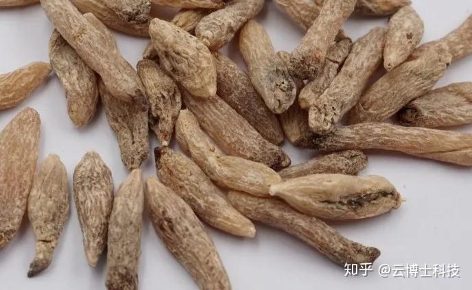 中药防潮中药材如何防霉防潮防蛀这份除湿防潮全攻略抢先收藏