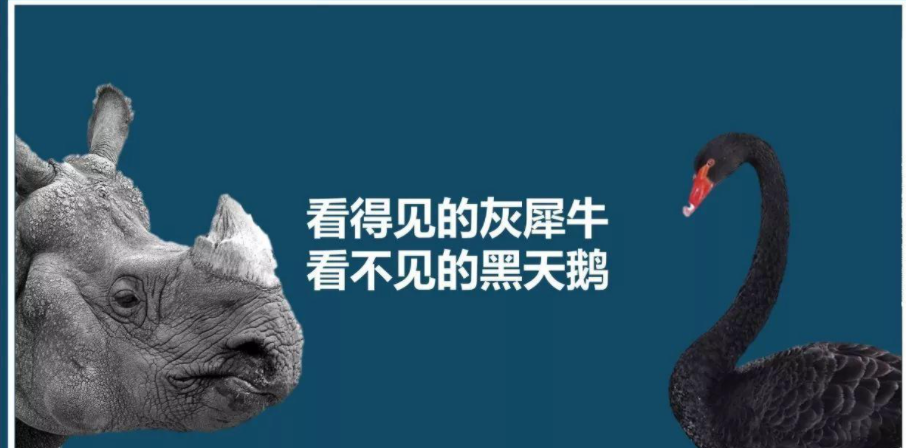 v2-aa432040457c2a88bdf82cc110a00e4d_1440w.jpg?source=172ae18b