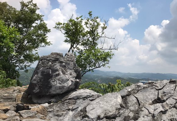 《隱秘的角落》火了~六峰山景區人員喊你來爬山!六峰山在線委屈