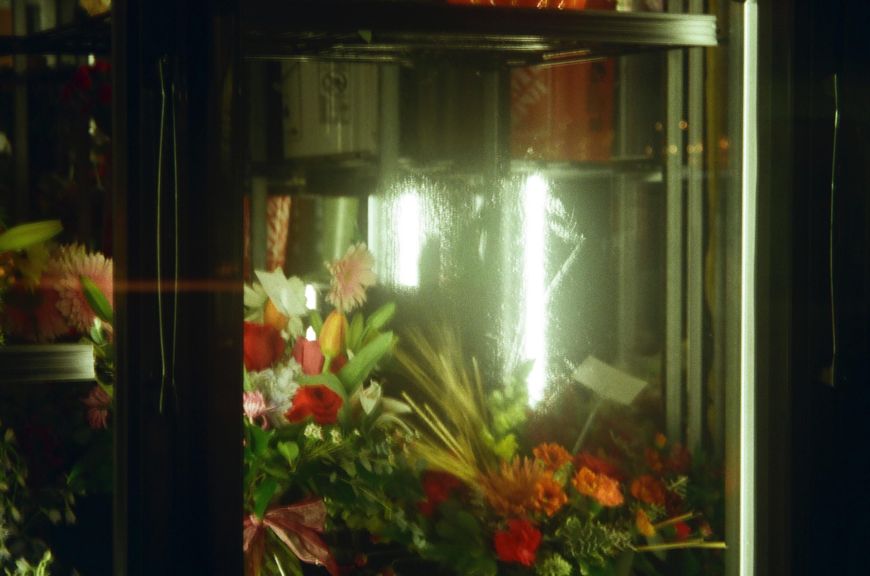 鱼缸磁力刷多少钱一个