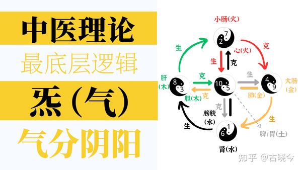很多中医不重视,中医的最底层逻辑是“气”,学中医要先明白气! - 知乎