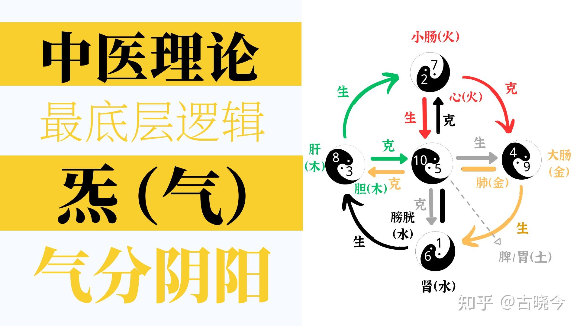 很多中医不重视,中医的最底层逻辑是“气”,学中医要先明白气! - 知乎