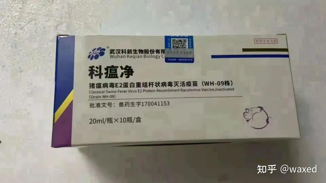 猪瘟弱毒接种于人工培养的细胞中,然后经过提纯等工艺制得的猪瘟疫苗