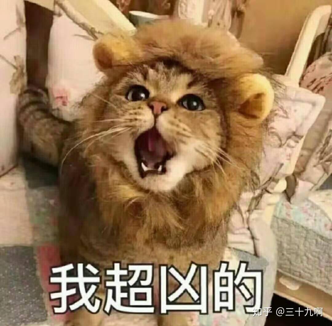 探探上真的有好女孩?