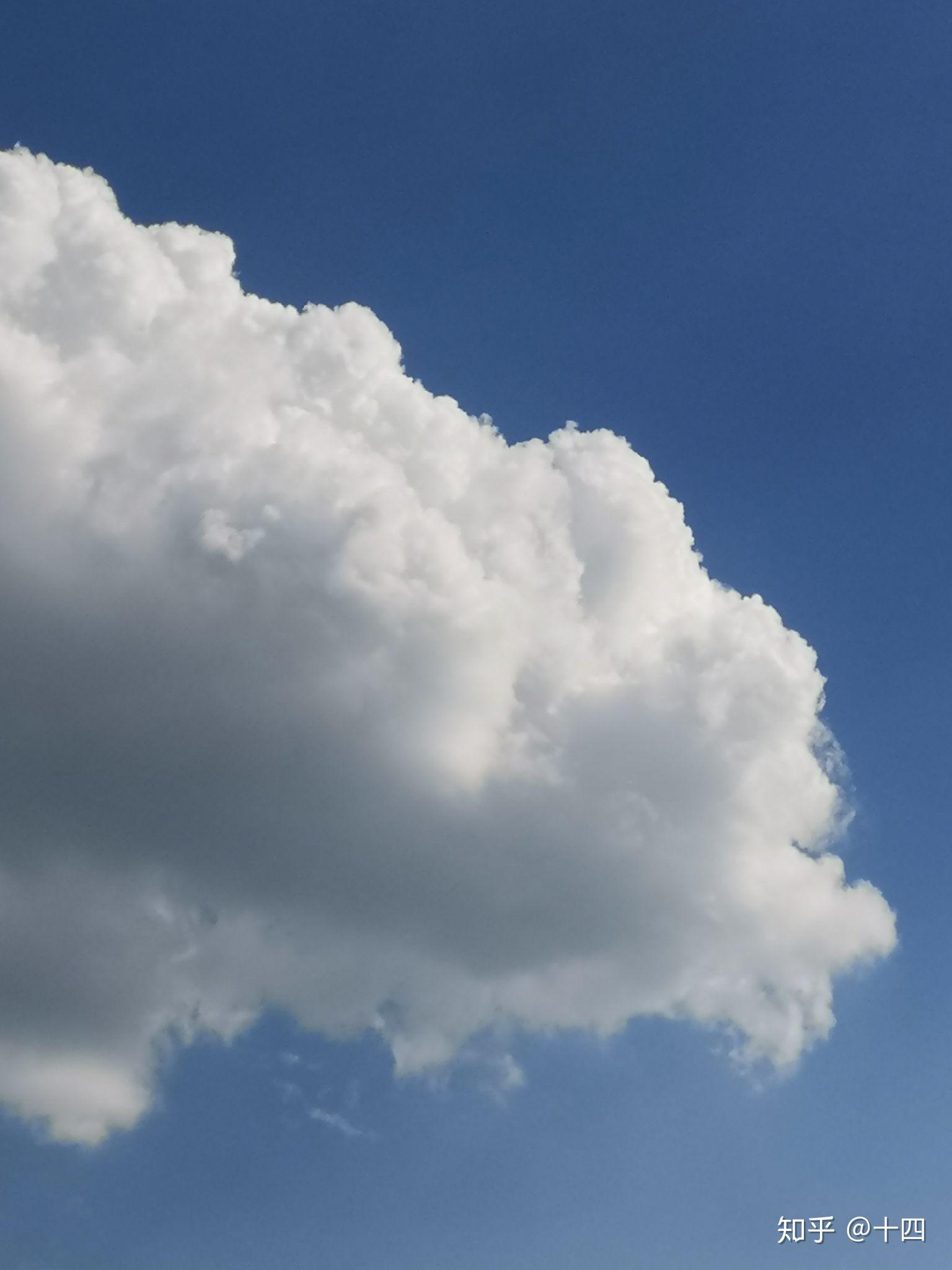 你拍过哪些很美的照片? - 知乎