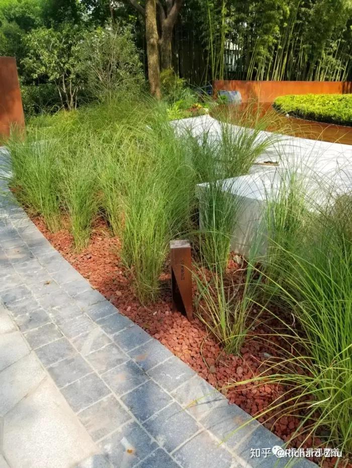 有机覆盖物案例与风共鸣的康余绿地