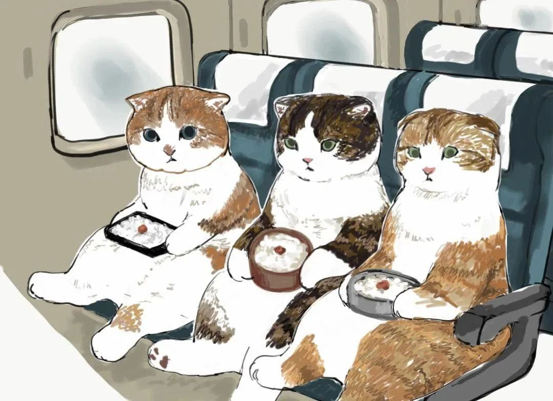 《猫先生和小小人》|插画|绘本|王宇葳 - 原创作品 - 站酷 (ZCOOL)