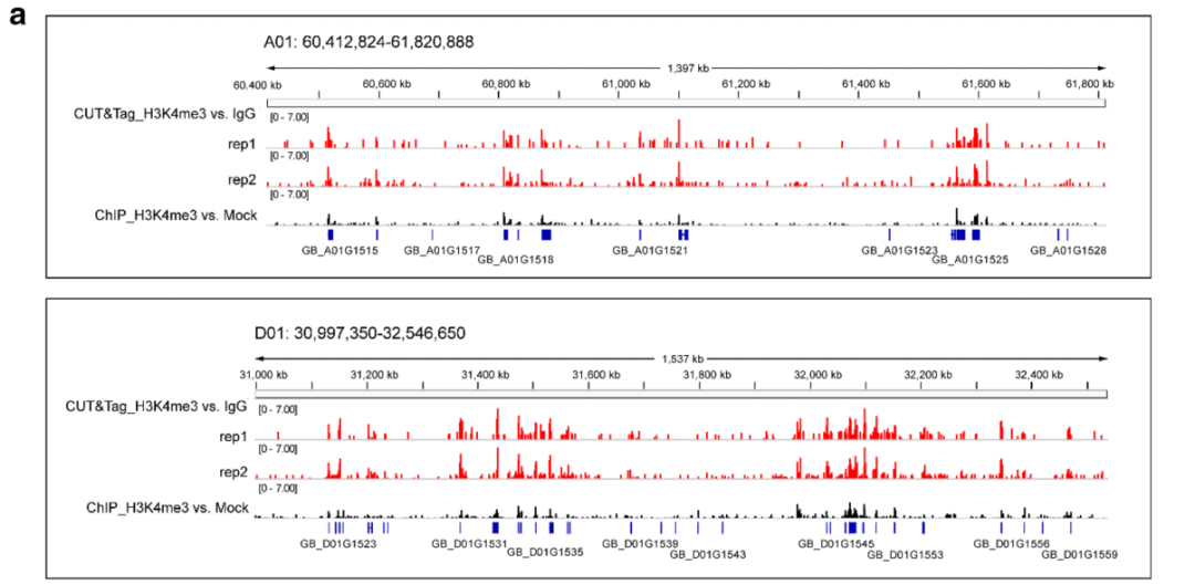 CUT&Tag成功应用于植物领域！ 知乎