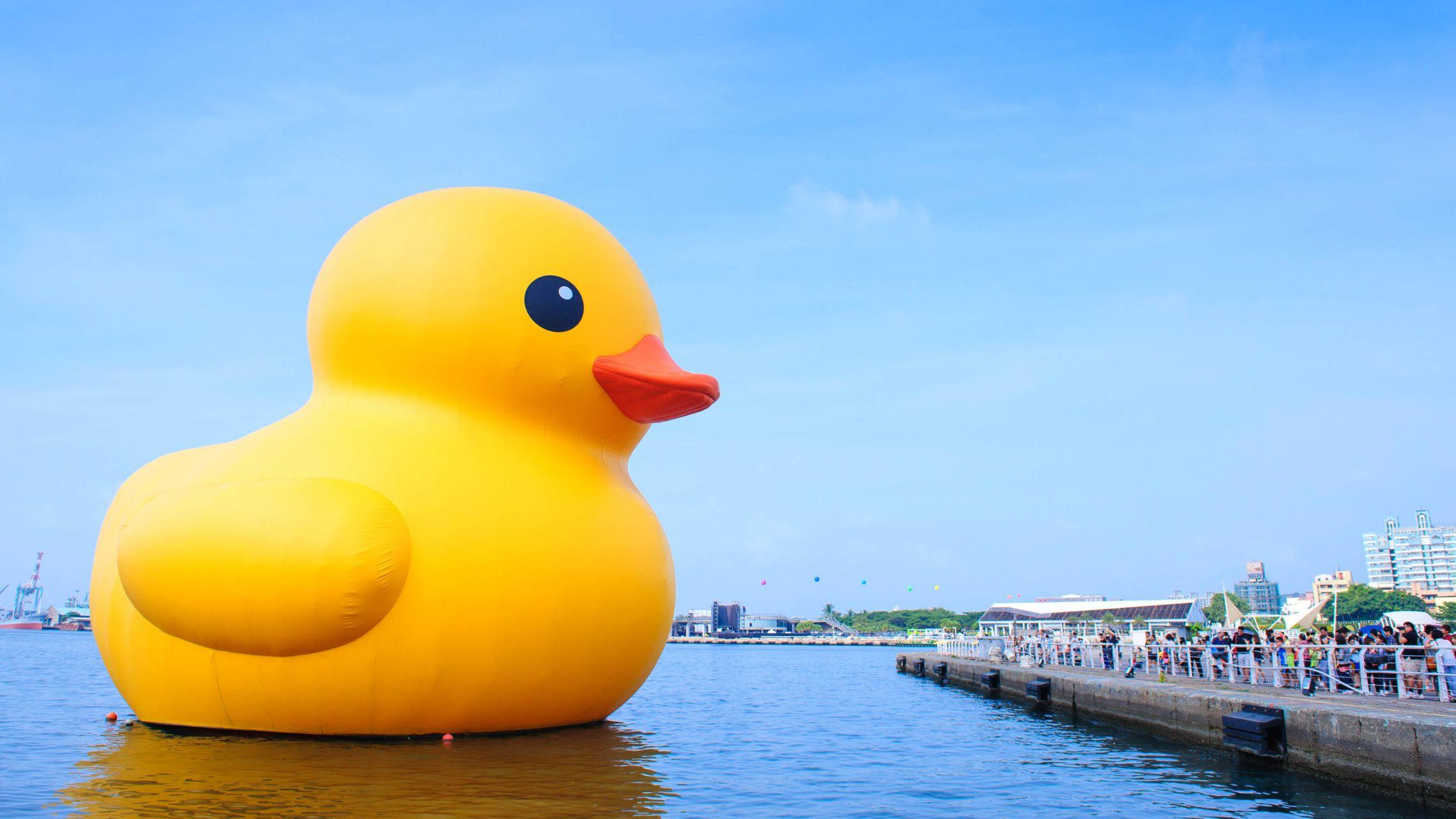 有哪些有趣的电脑壁纸值得分享