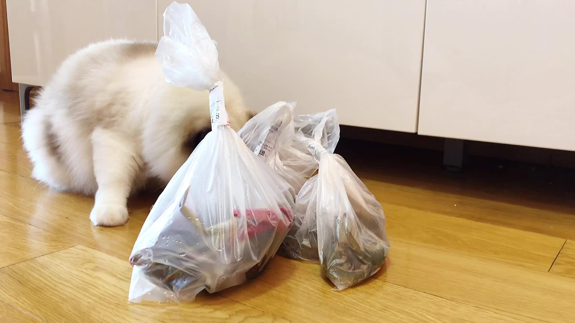 最好看的电视屏保,每一帧都是壁纸-apple tv 4k视频屏保