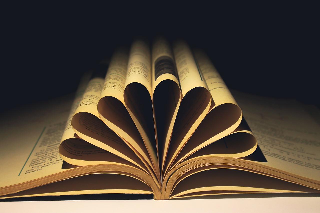 4. 叶类种植步骤