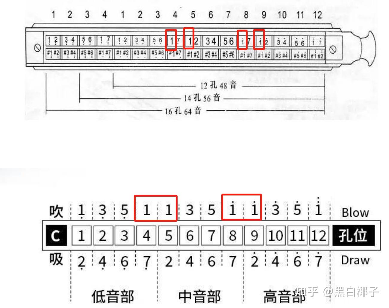 12孔布鲁斯口琴和12孔半音阶口琴有什么区别? - 知乎