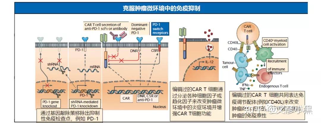 【行研】car-t细胞治疗(一):行业概况和痛难点 - 知乎