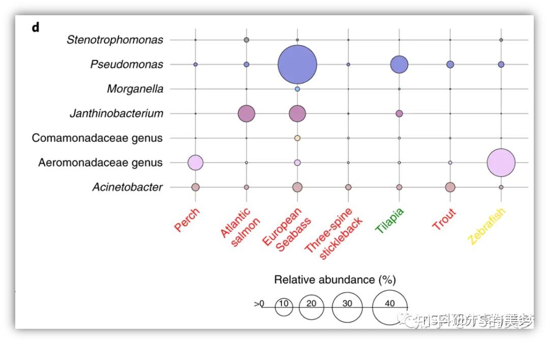 复现Nature子刊图表：气泡图展示相互关系 - 知乎