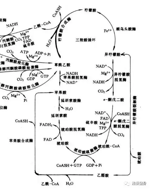 变量决定了什么量篇一