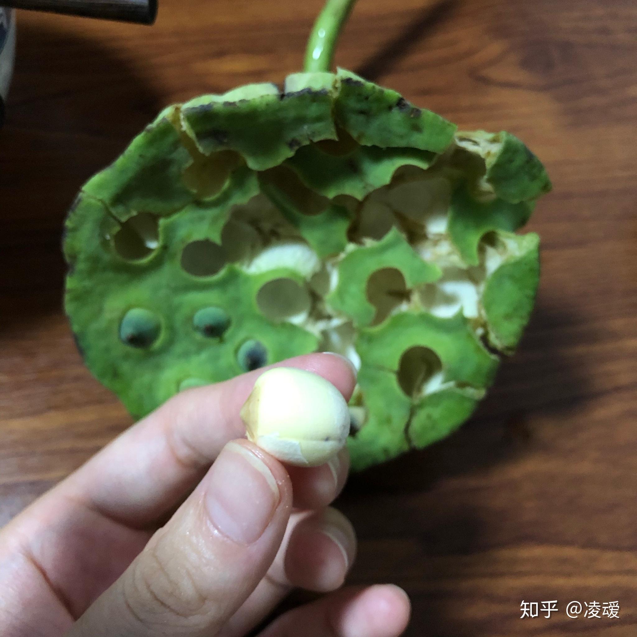 去皮后的莲子上有黑点是怎么回事